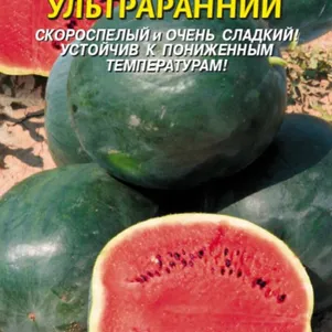 

Арбуз Ультраранний 1 г, Плазменные семена