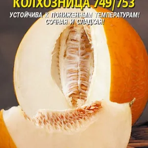 Дыня Колхозница 749753 05 г Плазменные семена 28₽
