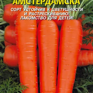 

Морковь Амстердамская 2 г, Плазменные семена