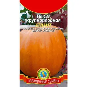 Тыква Атлант 1 г Плазменные семена 39₽