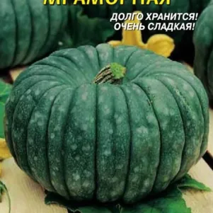 

Тыква Мраморная 6 шт, Плазменные семена