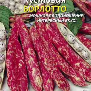 

Фасоль Борлотто кустовая 5 г, Плазменные семена