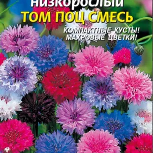 

Василек Том Поц смесь низкорослая 0,2 г, Плазменные семена