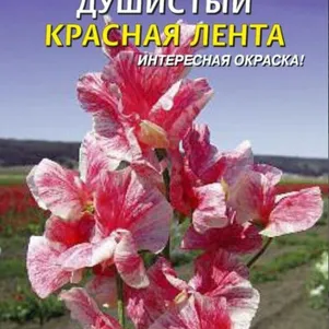

Горошек душистый Красная лента 0,4 г, Плазменные семена
