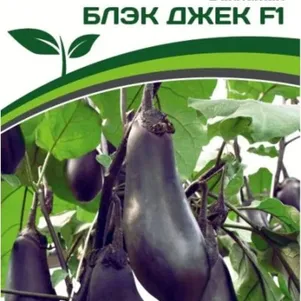 Баклажан Блэк Джек F1 10 шт Семена Партнер 149₽