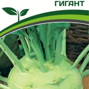 

Кольраби Гигант 0,5 г, Семена Партнер