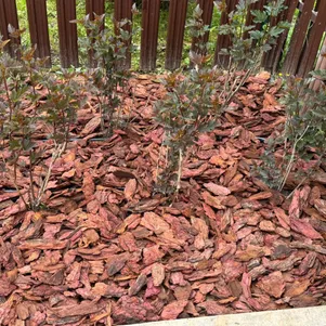 

Кора (Мульча) лиственницы 50 л