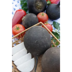 

Редька Негритянка ц/п 1 г, Семена Седек