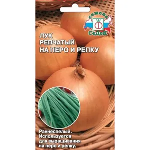 Лук На перо и репку репчатый цп Семена Седек 40₽