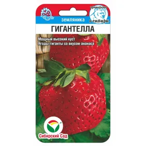 

Земляника Гигантелла ц/п 10шт, Семена Сибирский Сад