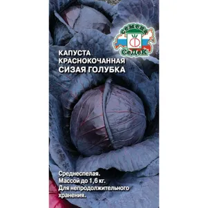 

Краснокочанная капуста Сизая Голубка ц/п 0,5 г, Семена Седек