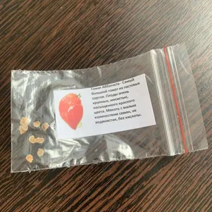 

Томат Аббатиста 10 сем, Частная коллекция семян