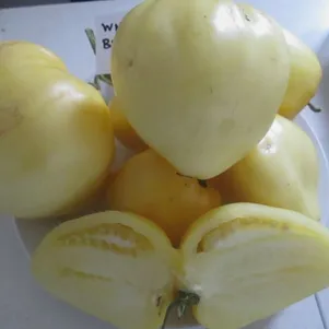 

Томат Бычье сердце белое 10 сем, Частная коллекция семян