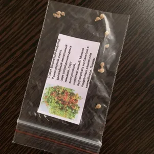 

Томат Вишневый Водопад 10 сем, Частная коллекция семян