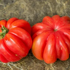 

Томат Грибное лукошко 10 сем, Частная коллекция семян