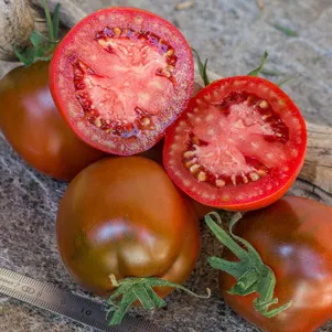 

Томат Дэ Барао Черный 10 сем, Частная коллекция семян