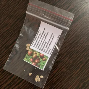 

Томат Пурпурная фея 10 сем, Частная коллекция семян