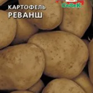 

Картофель Реванш, Семена Седек