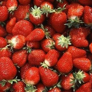 

Земляника Али-Баба ремонтантная