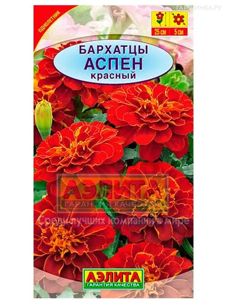Бархатцы Аспен красный отклоненные (Аэлита)