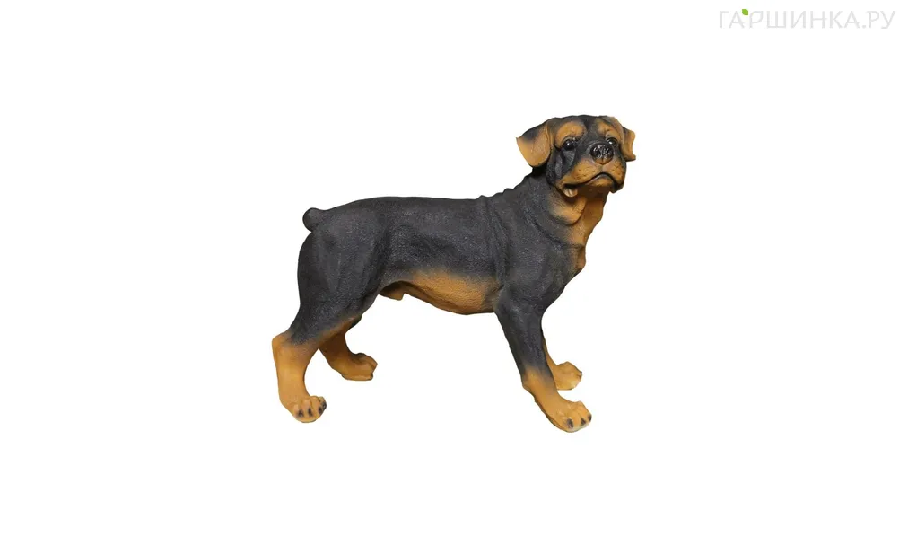 Собака Ротвейлер 44*25*37