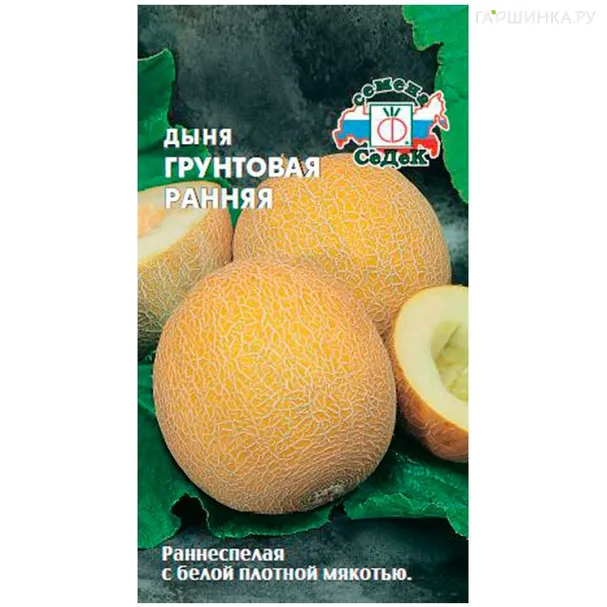Дыня Ранняя Грунтовая 0,5 г