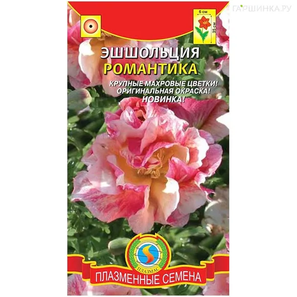 Эшшольция Романтика