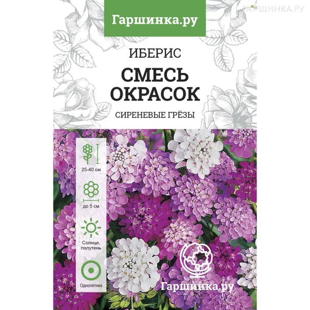 Иберис зонтичный Смесь окрасок