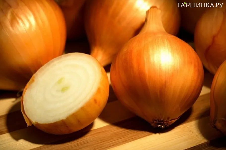 Лук-севок Золотистый Семко (желтый) 0,5 кг