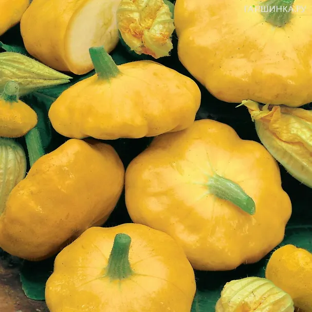 Патиссон НЛО оранжевый 1гр