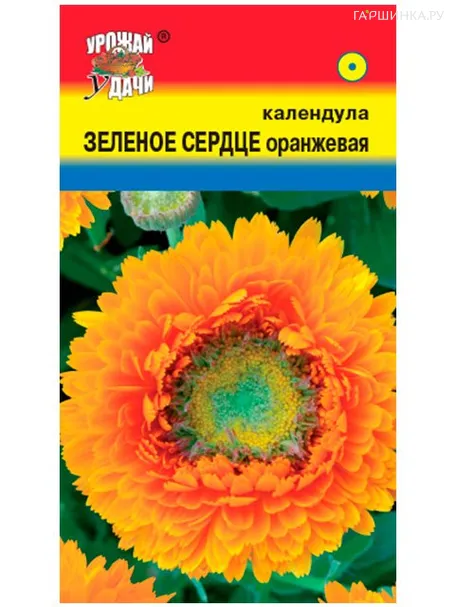 Календула Зелёное сердце оранжевая 0,3 г