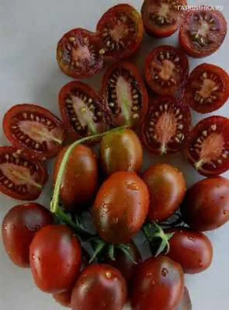 Томат Монисто шоколадное томат 0.1гр