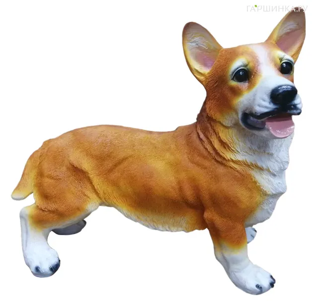 Собака Корги 21*47*42