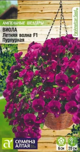 Виола Летняя волна Пурпурная F1  5шт ЦП