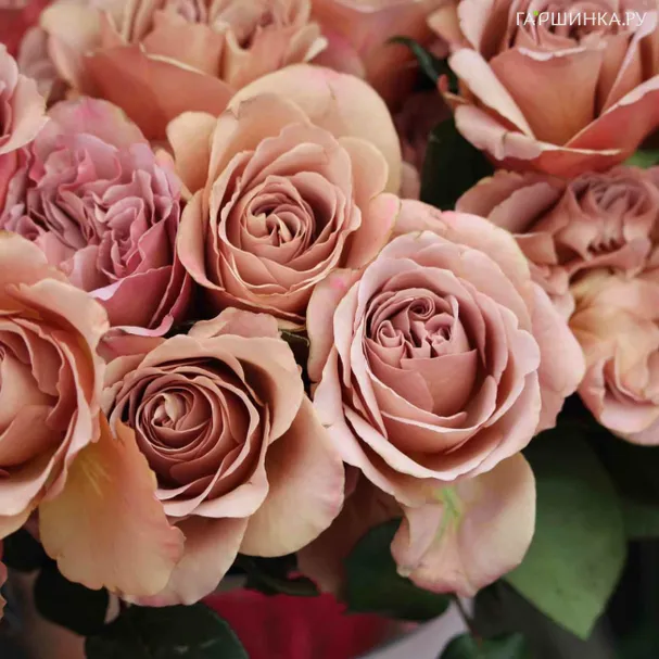 Роза Кафе Латте