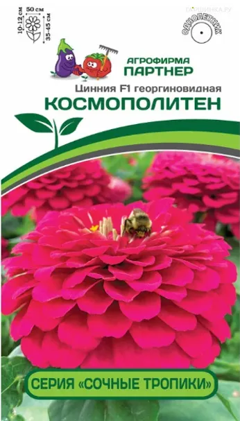 Цинния георгиновидная "Сочные тропики" F1 Космополитен 4 шт. Партнер