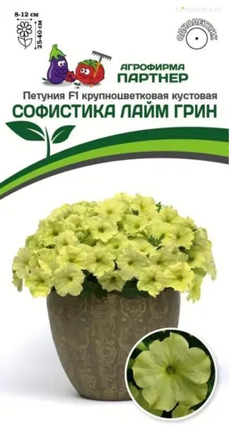 Петуния Софистика Лайм Грин F1 кустовая крупноцветковая 5 шт. Семена Партнер