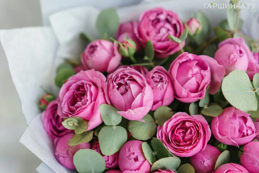 Роза Мисти Баблз спрей