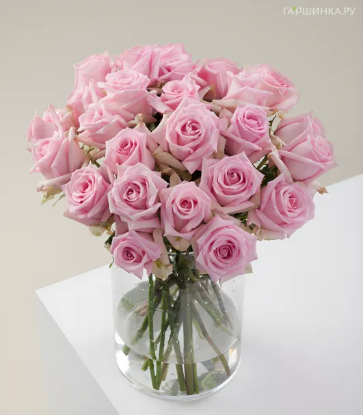 Роза Джессика