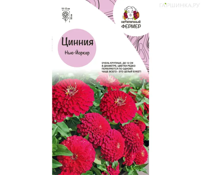 Цинния F1 НЬЮ-ЙОРКЕР (4шт), Нетипичный Фермер