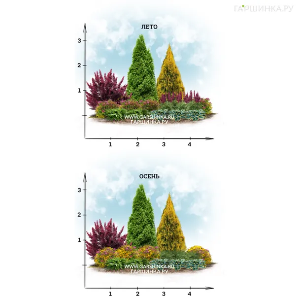 Зимостойкий миксбордер