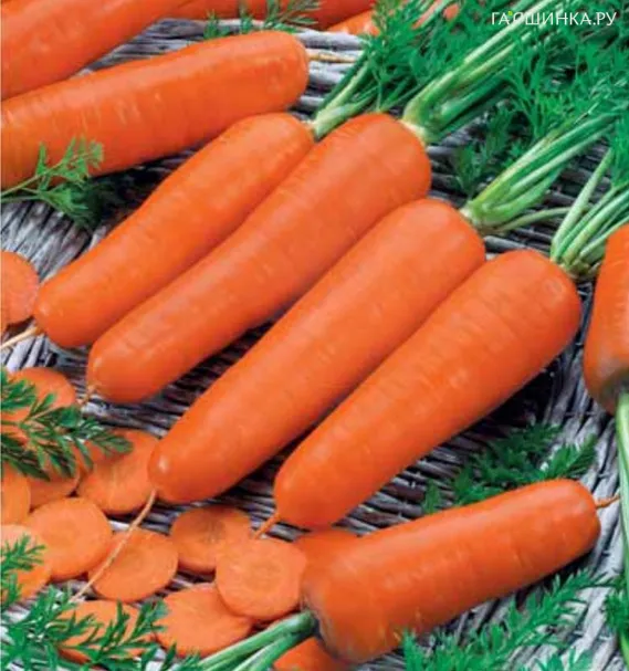 Морковь Амстердамская морковь 2г