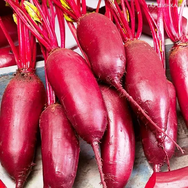 Свекла Мона 2г