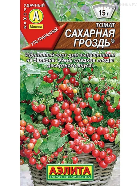 Томат Сахарная гроздь 20шт