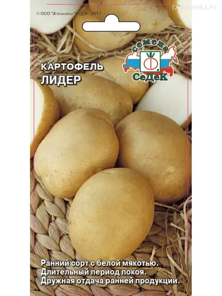 Картофель Лидер