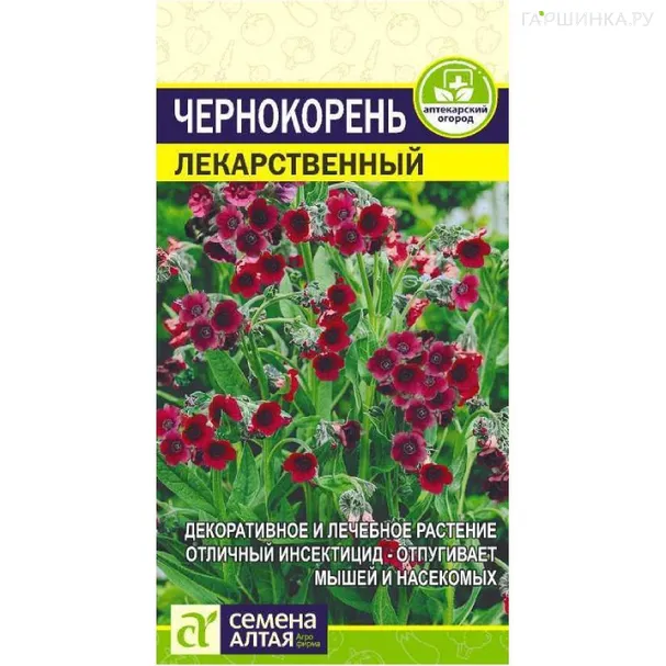 Чернокорень Лекарственный 0,1гр. ЦП