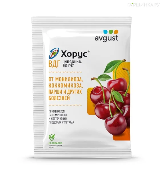 Хорус 2 гр. Август