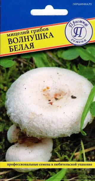 Волнушка белая 60 мл, Семена Престиж