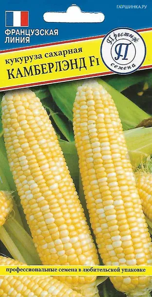 Кукуруза Камберлэнд сладкая F1 10 шт, Престиж