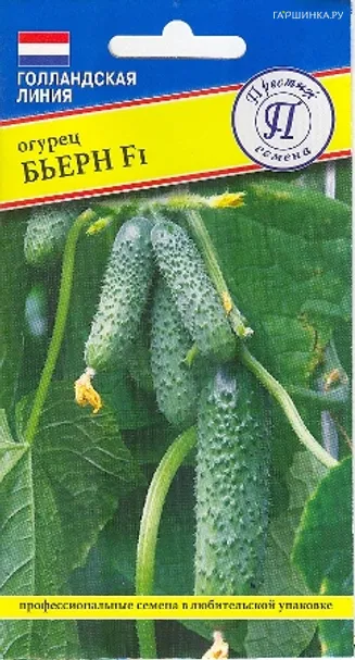 Огурец Бьерн F1 5 шт, Семена Престиж